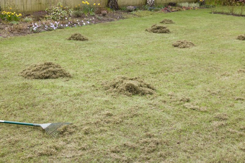 lawn dethatching
