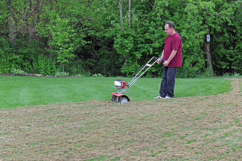 lawn dethatching