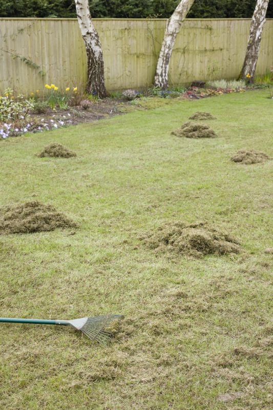 lawn dethatching